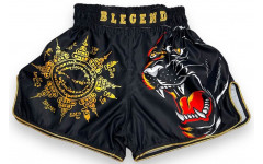 Шорты для бокса Blegend Magic Tiger S