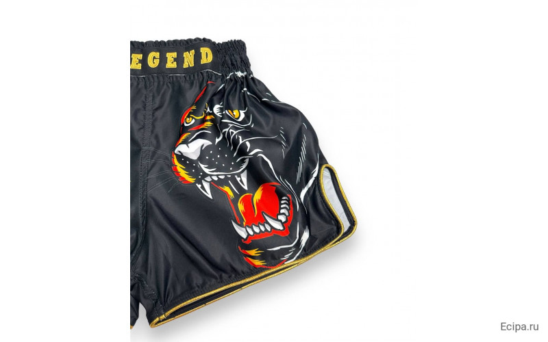 Шорты для бокса Blegend Magic Tiger XL