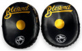 Лапы боксерские Blegend Focus Mitts BFM17