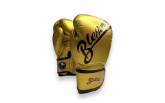 Боксерские перчатки BLEGEND 14 oz