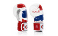 Боксерские перчатки Fairtex BGV1 Thai PriDe 10 oz