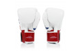 Боксерские перчатки Fairtex BGV1 Thai PriDe 12 oz
