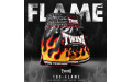 Шорты для бокса Twins Special TBS Flame S