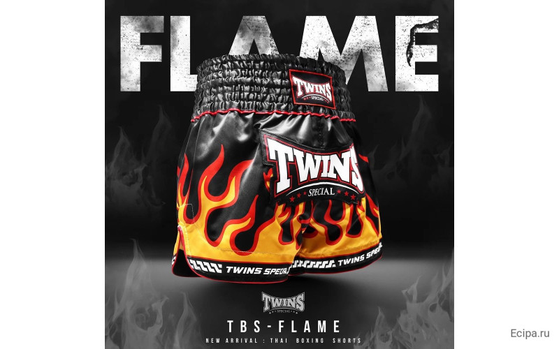 Шорты для бокса Twins Special TBS Flame S