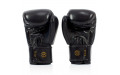 Боксерские перчатки Fairtex BGV19 black 10 oz