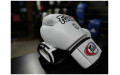Боксерские перчатки Fairtex BGV27 white 16 oz