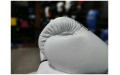 Боксерские перчатки Fairtex BGV27 white 16 oz