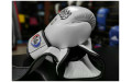 Боксерские перчатки Fairtex BGV27 white 16 oz