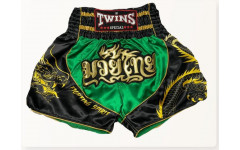 Шорты для бокса Twins Special TBS Dragon3 XL