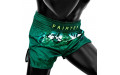 Шорты для бокса Fairtex BS1913 L