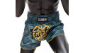 Шорты для бокса Fairtex BS1915 S
