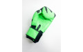 Боксерские перчатки Raja model 3 green 16 oz