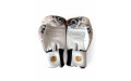 Боксёрские перчатки Raja White Tiger 12 oz